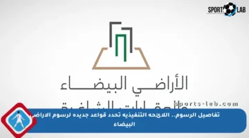 تفاصيل الرسوم.. اللائحة التنفيذية تحدد قواعد جديدة لرسوم الأراضي البيضاء